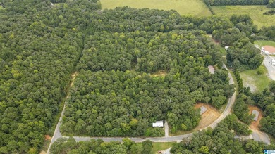 Great Opportunity to invest in Wilsonville! This 19.40 Acre - photo 5