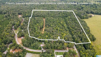 Great Opportunity to invest in Wilsonville! This 19.40 Acre - photo 6