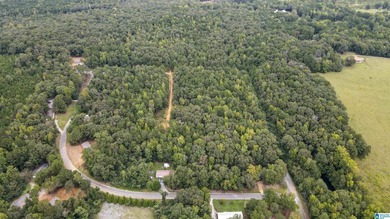 Great Opportunity to invest in Wilsonville! This 19.40 Acre - photo 9