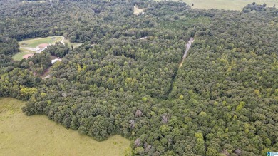 Great Opportunity to invest in Wilsonville! This 19.40 Acre - photo 10
