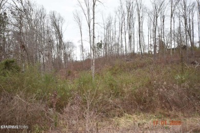 Beautiful triple lot located in Stipes Hills Subdivision. Ten - Lake Acreage For Sale in Ten Mile, Tennessee