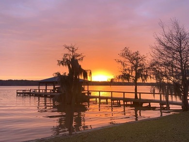 Lake Blackshear Lot For Sale in Cobb Georgia