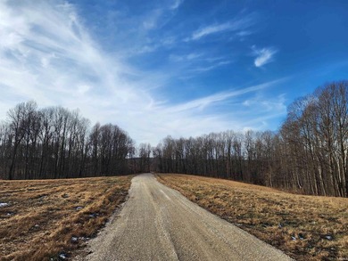 Welcome to a rare opportunity to build on 4-10 acre tracts in a - photo 15