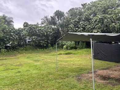 Located in the Hawaiian Beaches subdivision, this - photo 29