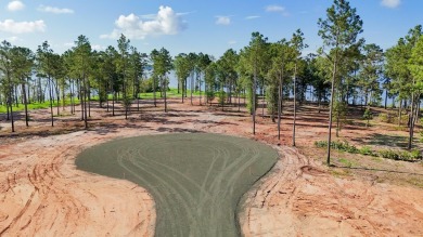 Lake Lot For Sale in Pineland, Texas