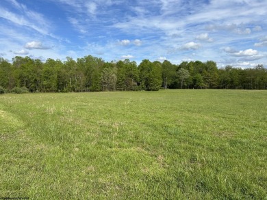 Lake Acreage For Sale in Albright, West Virginia