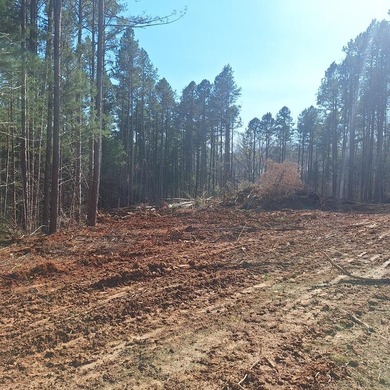 Lake Acreage For Sale in Buffalo Junction, Virginia