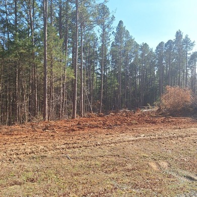 Ready to build your dream home? 4.65 acres just waiting for your - photo 4