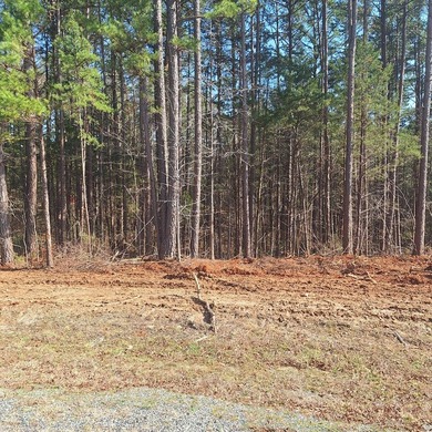 Ready to build your dream home? 4.65 acres just waiting for your - photo 5