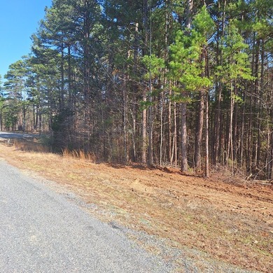 Ready to build your dream home? 4.65 acres just waiting for your - photo 6
