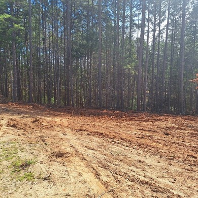 Ready to build your dream home? 4.65 acres just waiting for your - photo 9