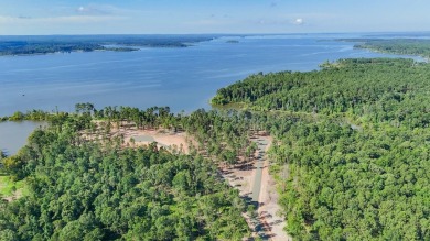 Lake Lot For Sale in Pineland, Texas