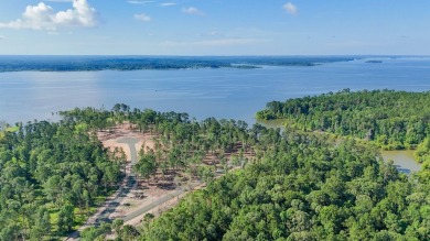 Lake Lot For Sale in Pineland, Texas