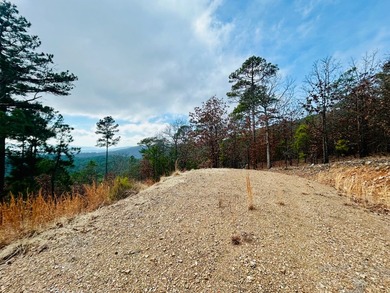 Incredible opportunity to own a 2.6 acre vacant lot with - photo 3
