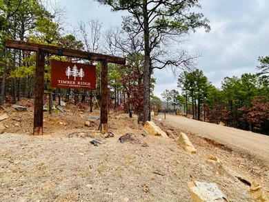 Incredible opportunity to own a 2.6 acre vacant lot with - photo 7