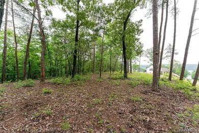 Build your dream home on this stunning 1.10-acre waterfront lot - photo 11