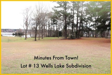 Lake Lot For Sale in Cordele, Georgia