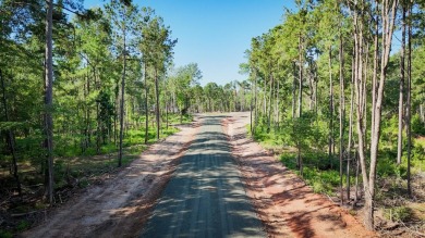 Lake Lot For Sale in Pineland, Texas