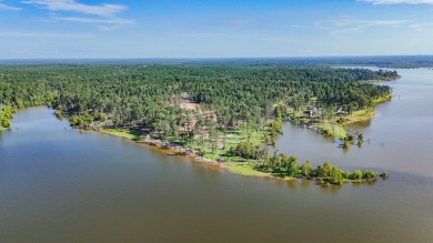 Lake Lot For Sale in Pineland, Texas