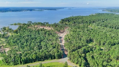 Lake Lot For Sale in Pineland, Texas