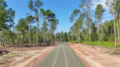 Lake Lot For Sale in Pineland, Texas