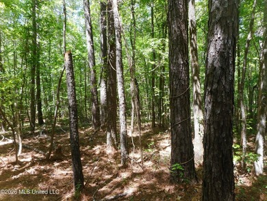 Lena 40+/- acres with about 1,400 feet of frontage along Hwy 25 - photo 11