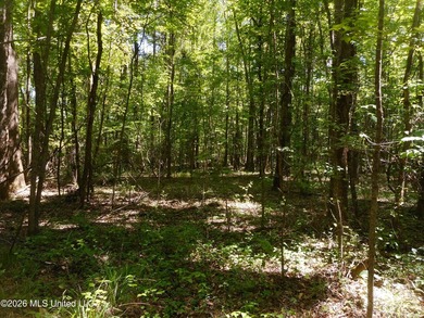 Lena 40+/- acres with about 1,400 feet of frontage along Hwy 25 - photo 12