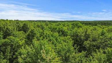 Escape to the beauty of Wisconsin's Northwoods with this - photo 12