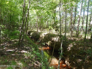 Lena 40+/- acres with about 1,400 feet of frontage along Hwy 25 - photo 13