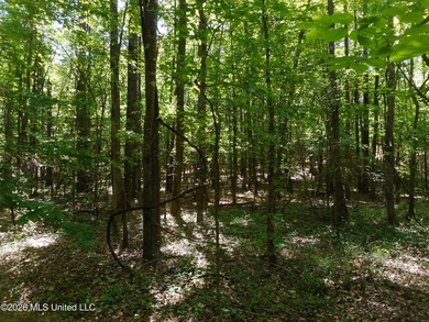 Lena 40+/- acres with about 1,400 feet of frontage along Hwy 25 - photo 14