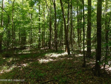 Lena 40+/- acres with about 1,400 feet of frontage along Hwy 25 - photo 15