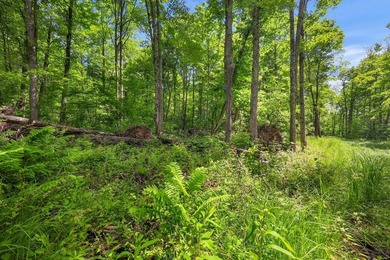 Escape to the beauty of Wisconsin's Northwoods with this - photo 15