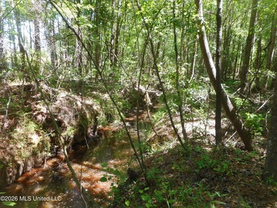 Lena 40+/- acres with about 1,400 feet of frontage along Hwy 25 - photo 16