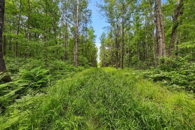 Escape to the beauty of Wisconsin's Northwoods with this - photo 16