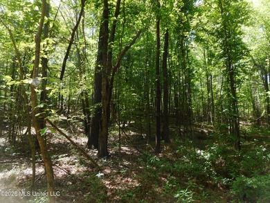 Lena 40+/- acres with about 1,400 feet of frontage along Hwy 25 - photo 17