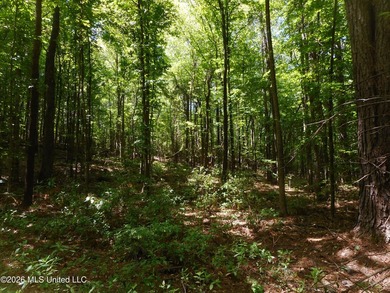 Lena 40+/- acres with about 1,400 feet of frontage along Hwy 25 - photo 18