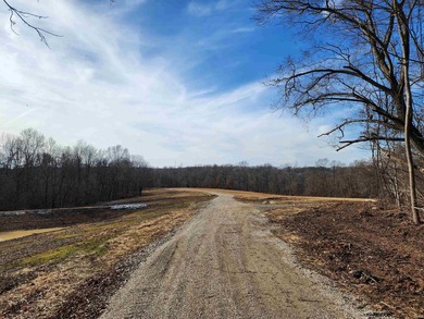 Welcome to a rare opportunity to build on 4-10 acre tracts in a - photo 19