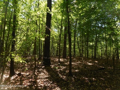 Lena 40+/- acres with about 1,400 feet of frontage along Hwy 25 - photo 20