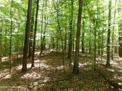 Lena 40+/- acres with about 1,400 feet of frontage along Hwy 25 - photo 22