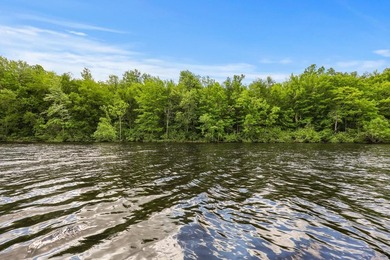 Escape to the beauty of Wisconsin's Northwoods with this - photo 22