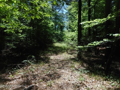 Lena 40+/- acres with about 1,400 feet of frontage along Hwy 25 - photo 23