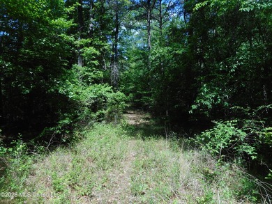 Lena 40+/- acres with about 1,400 feet of frontage along Hwy 25 - photo 24