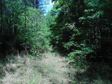 Lena 40+/- acres with about 1,400 feet of frontage along Hwy 25 - photo 25