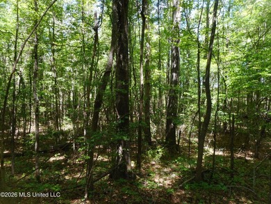 Lena 40+/- acres with about 1,400 feet of frontage along Hwy 25 - photo 26