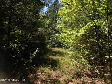 Lena 40+/- acres with about 1,400 feet of frontage along Hwy 25 - photo 27