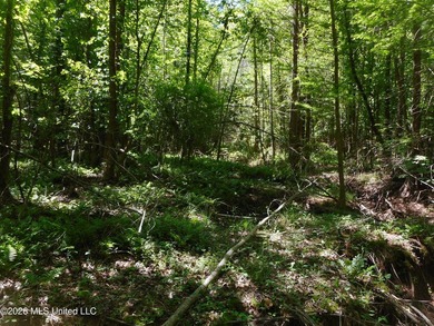 Lena 40+/- acres with about 1,400 feet of frontage along Hwy 25 - photo 28