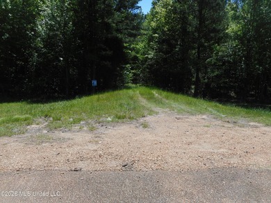 Lena 40+/- acres with about 1,400 feet of frontage along Hwy 25 - photo 30
