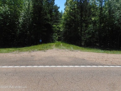 Lena 40+/- acres with about 1,400 feet of frontage along Hwy 25 - photo 31