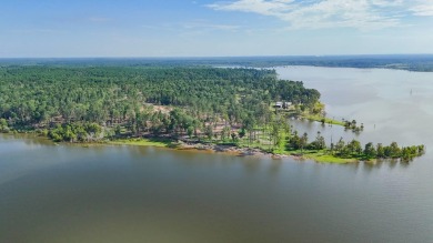 Lake Lot For Sale in Pineland, Texas