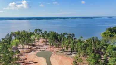 Lake Lot For Sale in Pineland, Texas